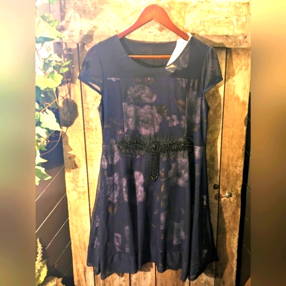 NWT   Bewitching purple with black net overlay dress.